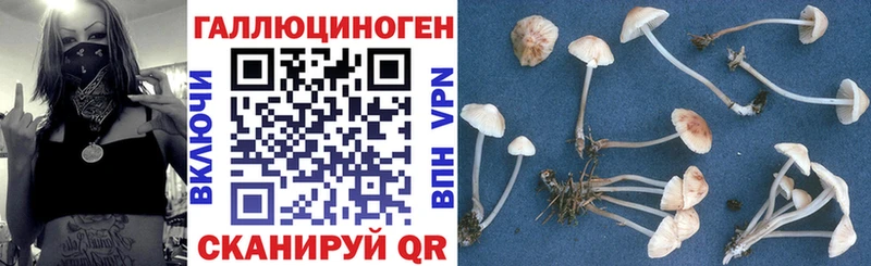 Галлюциногенные грибы мицелий  Шатура 