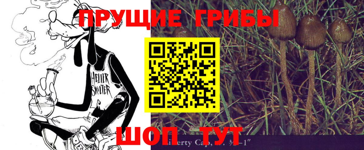 где можно купить   Шатура  Галлюциногенные грибы ЛСД 