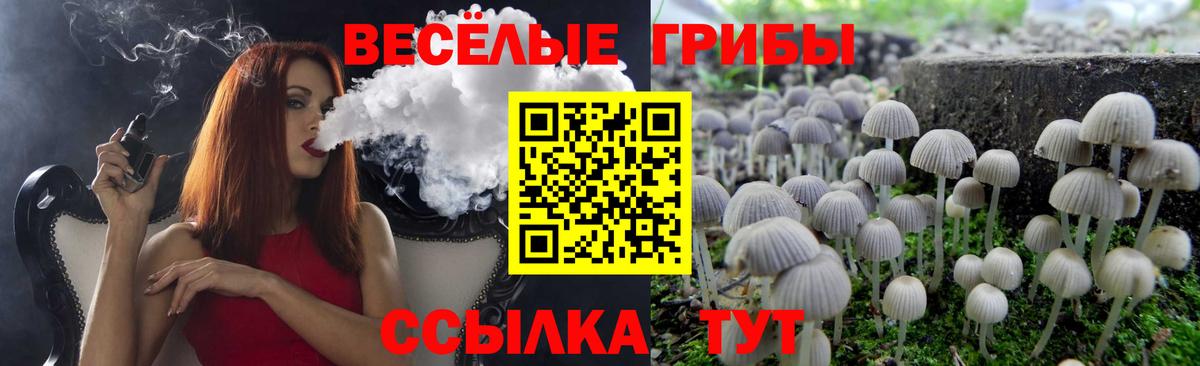 Галлюциногенные грибы Magic Shrooms  Галлюциногенные грибы мухоморы  Шатура  Вход с VPN 
