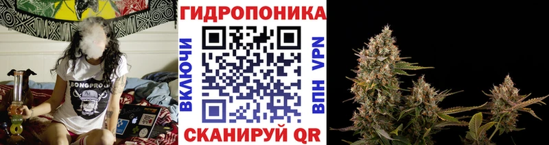 закладки  Шатура  МАРИХУАНА THC 21% 